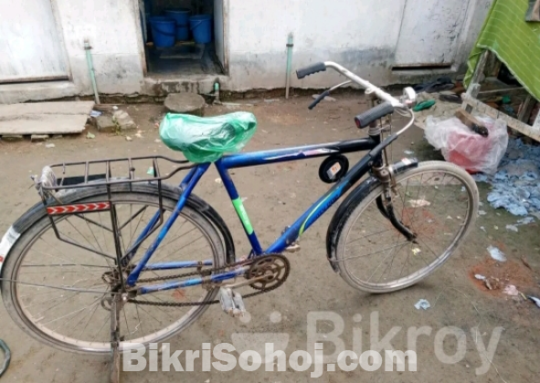 Cycle